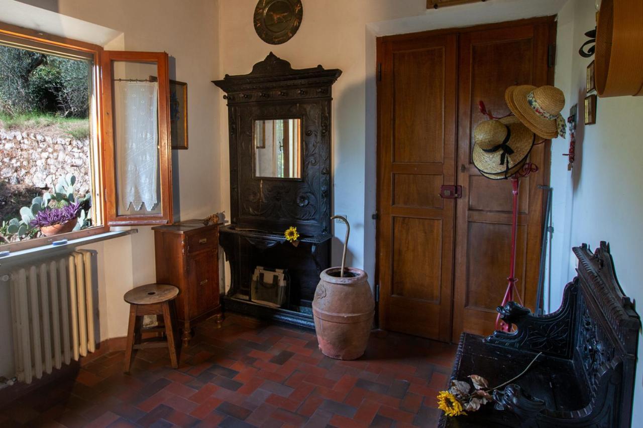Tranquillita E Relax Vicino A Siena Villa Rosia Eksteriør bilde