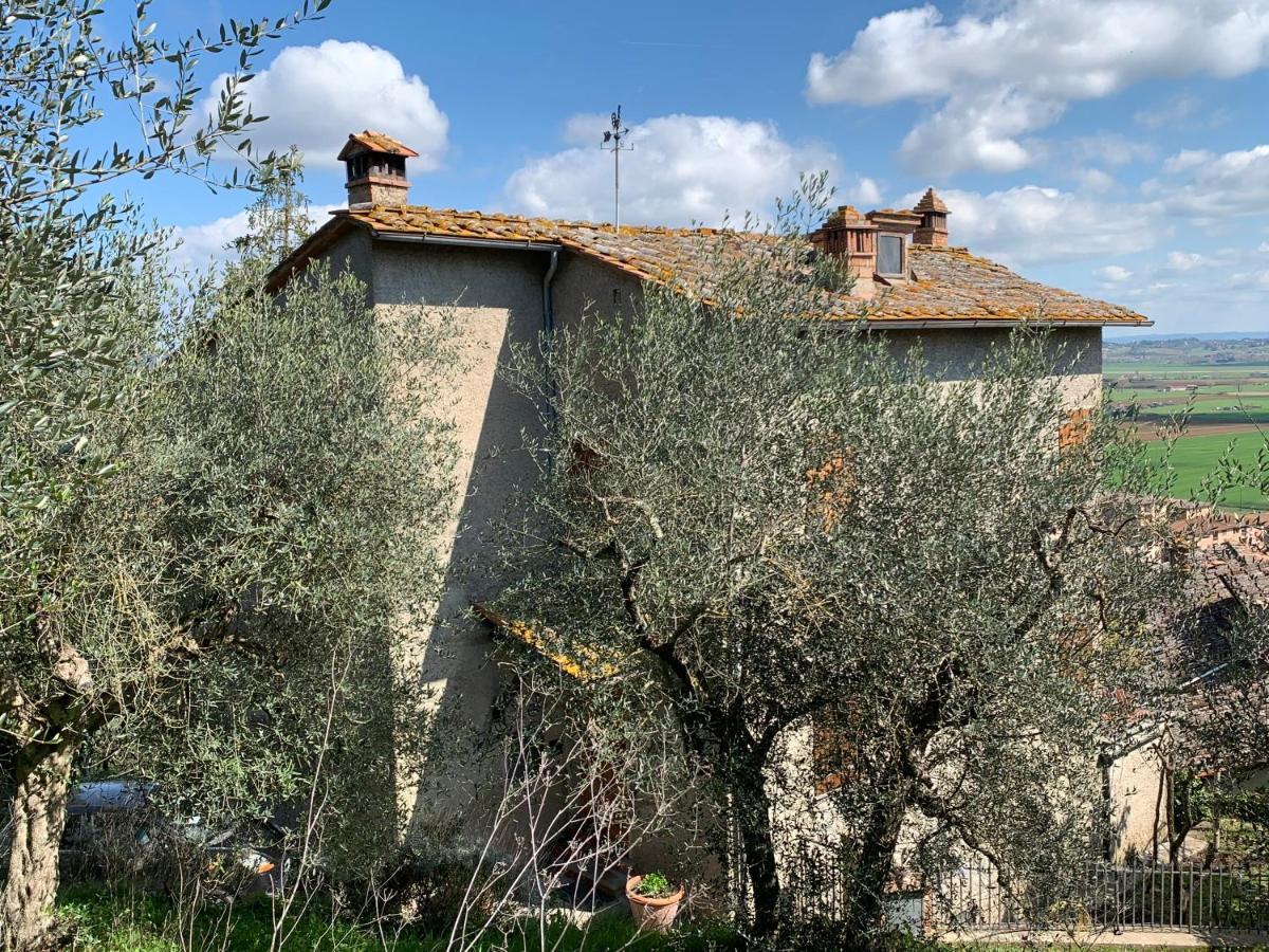 Tranquillita E Relax Vicino A Siena Villa Rosia Eksteriør bilde